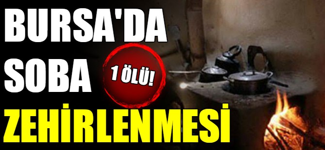 Bursa'da soba can aldı