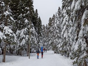 Uludağ’da kar 1.5 metreye ulaştı