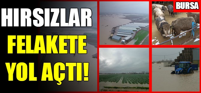Hırsızlar felakete yol açtı