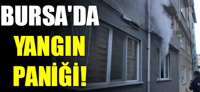 Bursa'da yangın!
