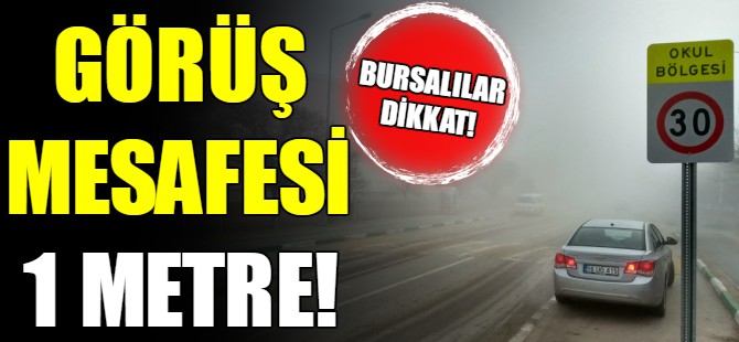 Bursa'da sis etkili oldu