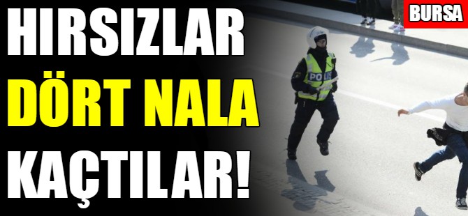 Hırsızlar dört nala kaçtılar