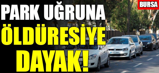 Bursa'da park kavgası!