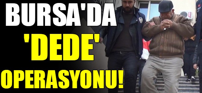 Bursa'da 'dede' operasyonu
