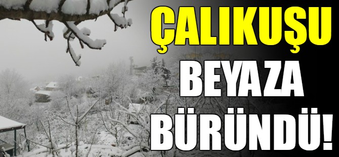 Çalıkuşu beyaza büründü