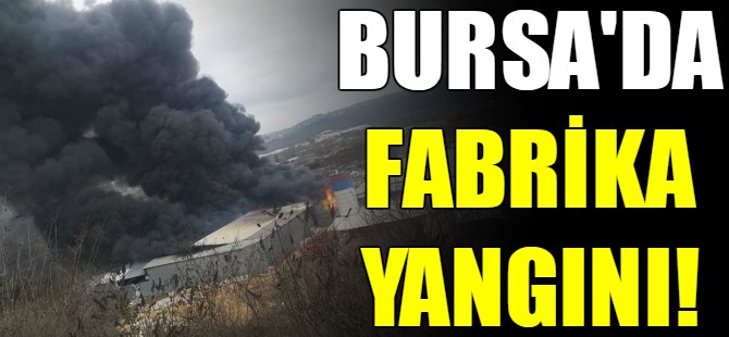 Bursa'da fabrika yangını!