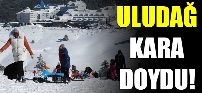 Uludağ kara doydu