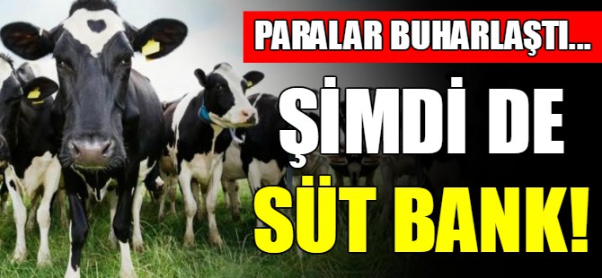 Çiftlik Bank'tan sonra Süt Bank...