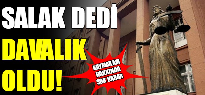 'Salak' diyen kaymakama hapis cezası
