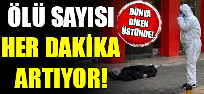 Dünya diken üstünde!