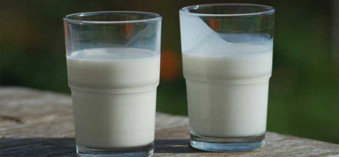 Bitkisel süt mü, hayvansal süt mü?