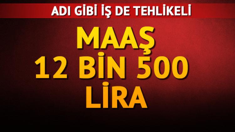 Şirket Bursa merkezli