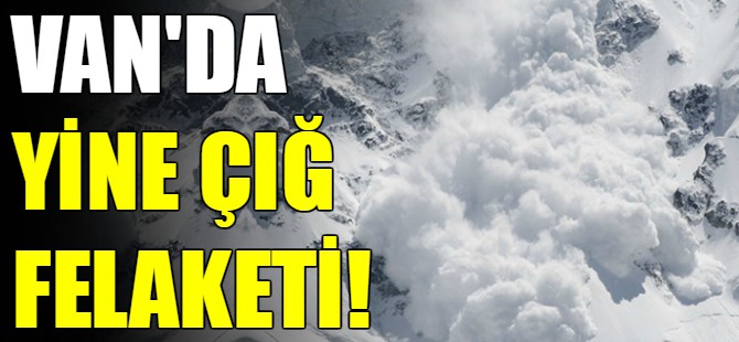 Van'da yine çığ düştü