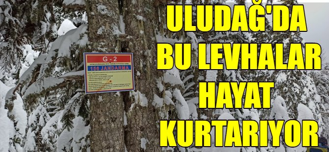 Uludağ'da hayat kurtaran levhalar