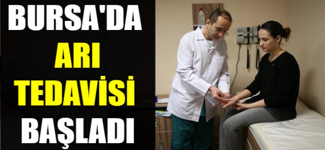 Bursa'da 'arı tedavisi' başladı