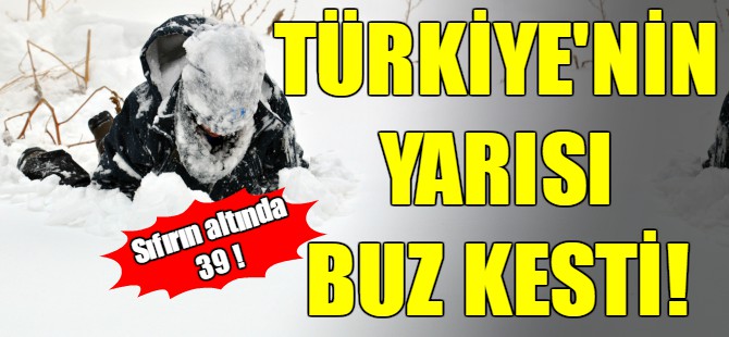 Türkiye'nin yarısı buz kesti!