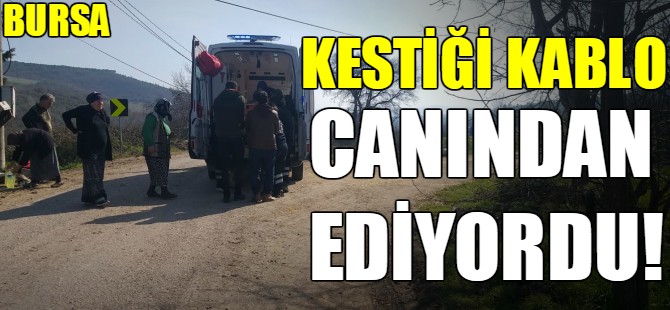 Kabloyu keserken canından oluyordu