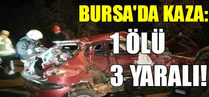 Bursa’da otomobil ile kamyonet kafa kafaya çarpıştı.