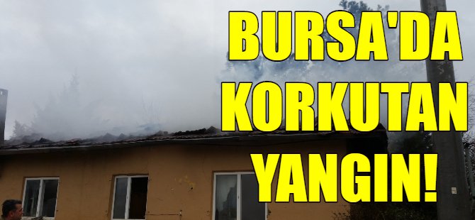 Bursa'da yangın
