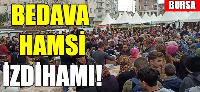 Bursa'da 'bedava hamsi' izdihamı