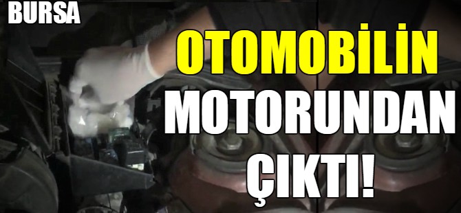 Otomobilin motorundan çıktı!