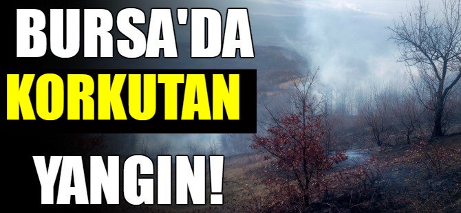 Bursa'da korkutan yangın!