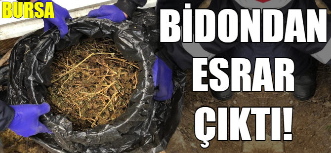 Bursa'da operasyon: Bidondan esrar çıktı!