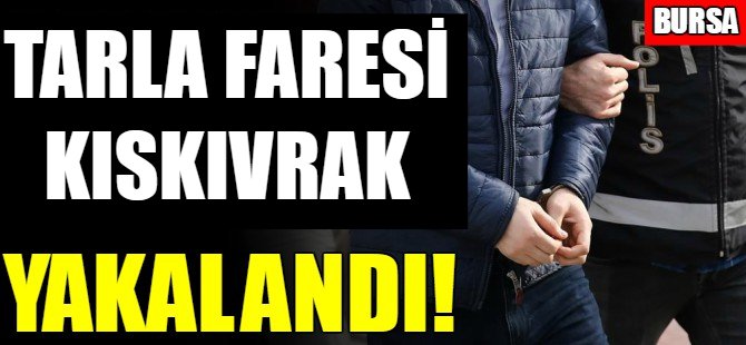 Bursa'da hırsızlık