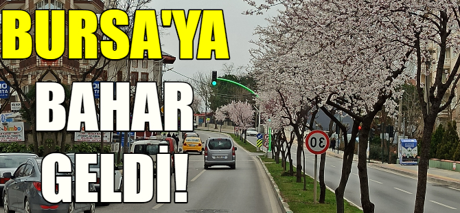 Bursa'ya bahar geldi