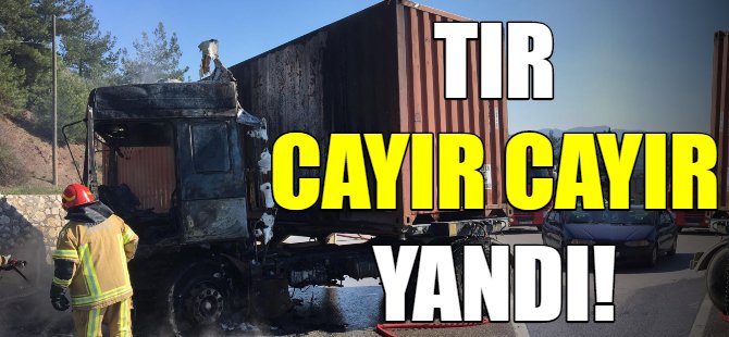 Bursa'da TIR alev aldı