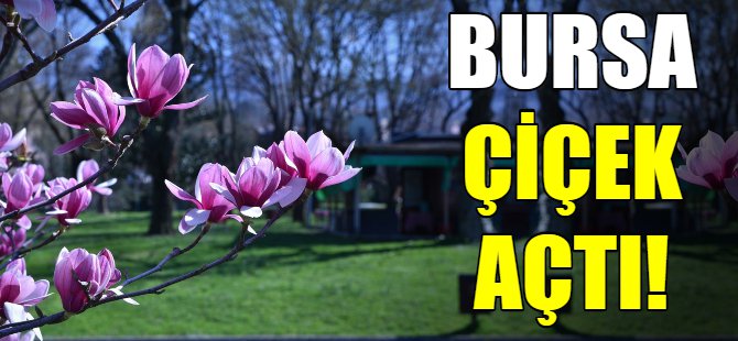 Bursa çiçek açtı