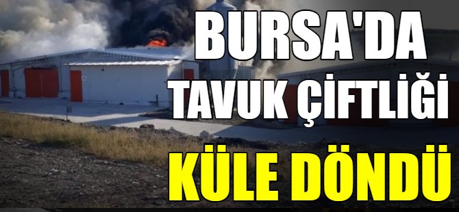 Bursa'da tavuk çiftliği küle döndü
