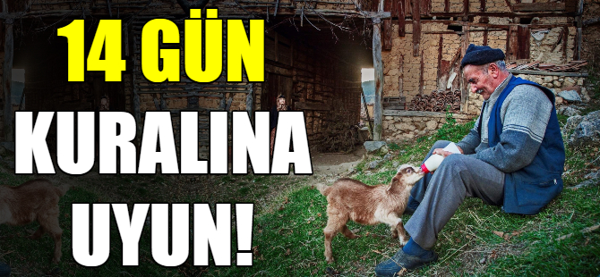 14 gün kuralına uyun