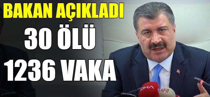 Koronavirüs'ten ölenlerin sayısı 30'a ulaştı