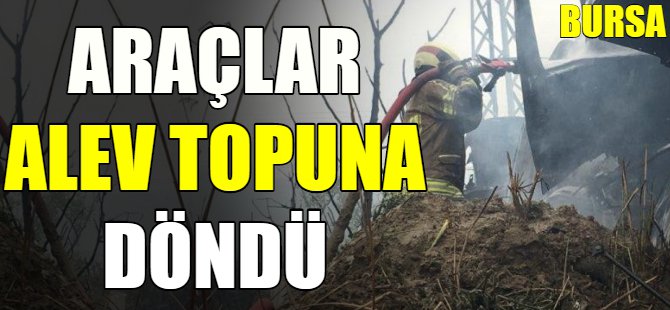 Bursa'da korkutan yangın