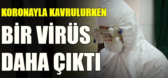 Bir virüs daha çıktı!