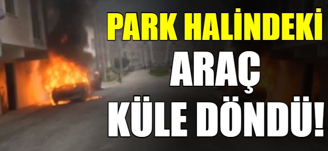 Park halindeki araç küle döndü