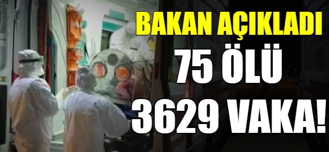 Bakan son rakamları açıkladı