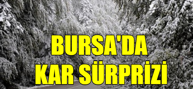 Uludağ beyazlara büründü