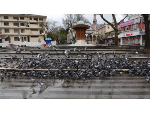 Bursa'da meydanlar güvercinlere kaldı