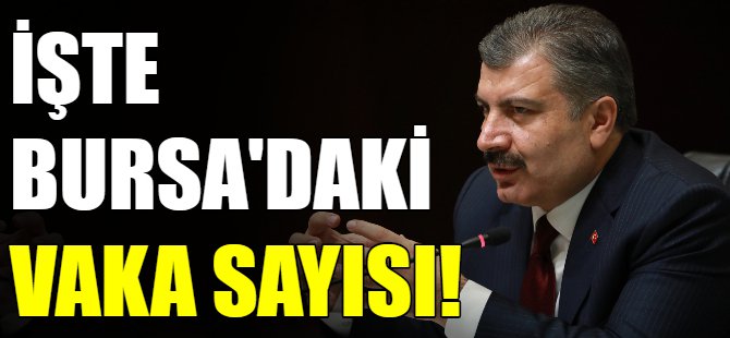 Bakan Bursa'daki vaka sayısını açıkladı