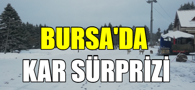 Nisan'da kar sürprizi