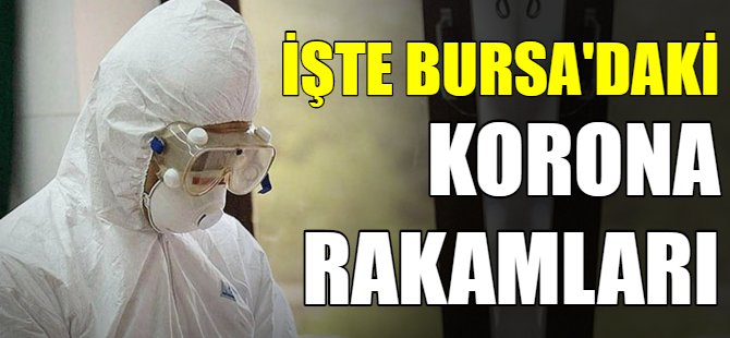 Bursa'da korona rakamları!