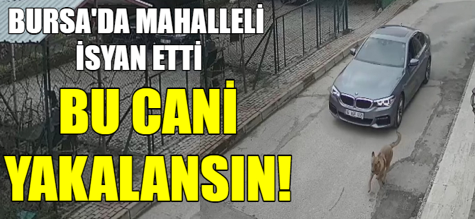 Bursa'da kan donduran olay!