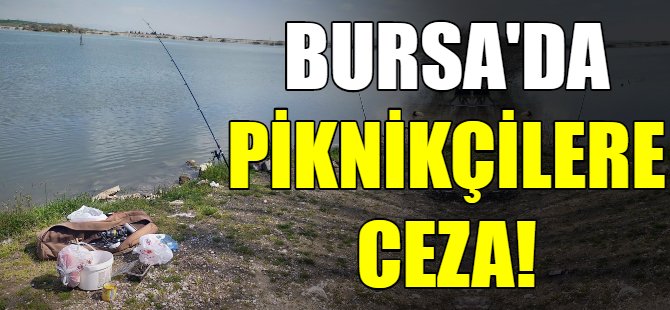 Bursa'da piknikçilere ceza!