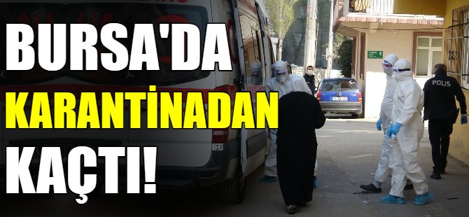 Karantinadan kaçtı, ortalığı birbirine kattı
