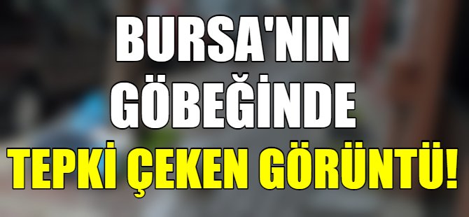 Bursa'da tepki çeken görüntü!
