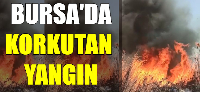 Bursa'da korkutan yangın