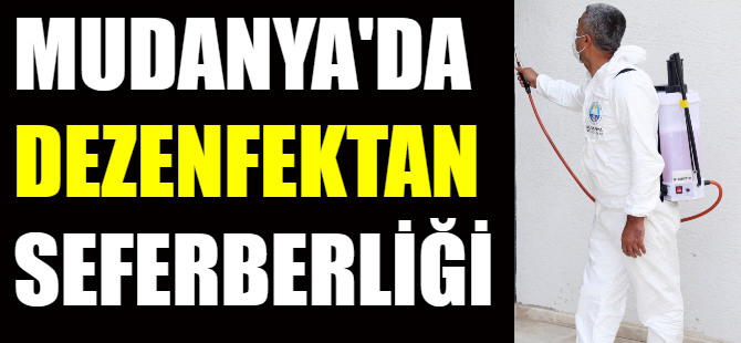 Mudanya'da dezenfektan seferberliği