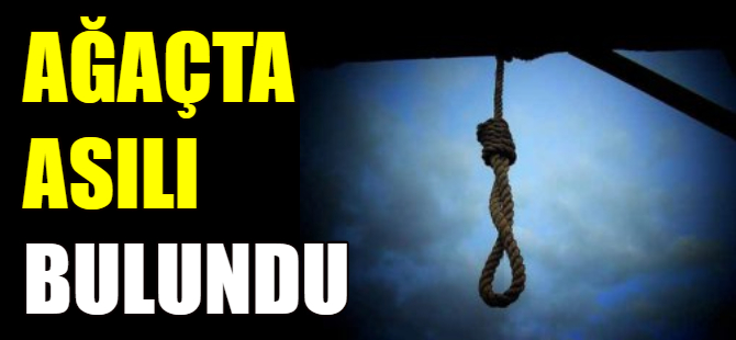 Ağaçta asılı bulundu